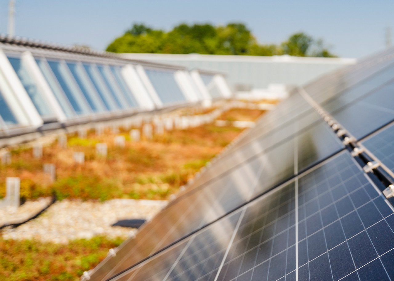 Photovoltaikanlage auf begrüntem Dach.