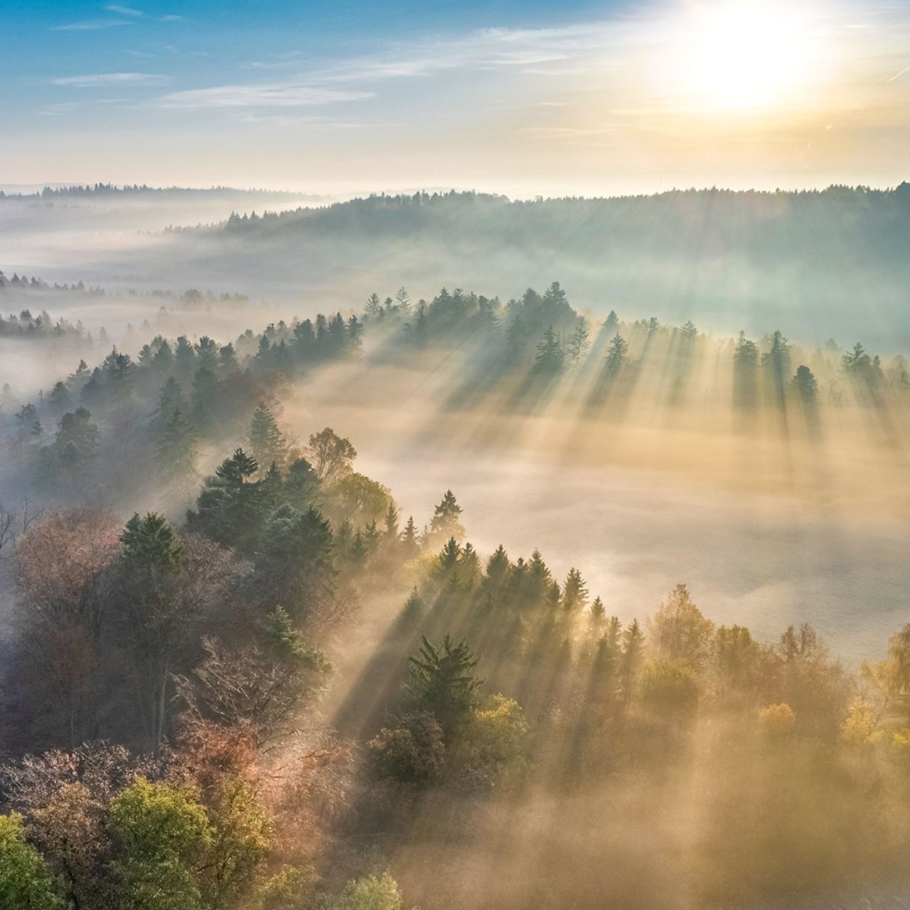 Sonnenstrahlen durchdringen Nebel über einem bewaldeten Tal bei Sonnenaufgang.